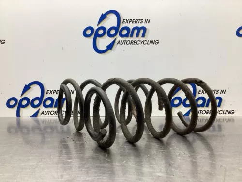 Schroefveer achter-8070963