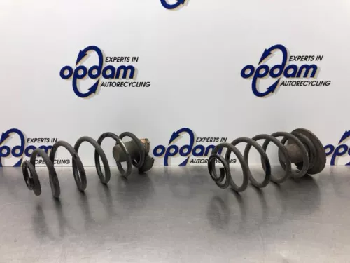 Schroefveer achter-8215872