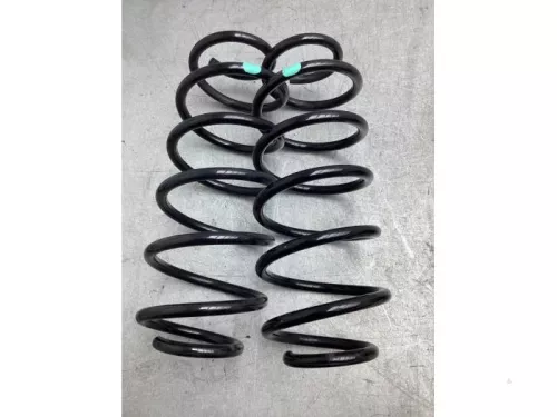 Schroefveer achter-8044990