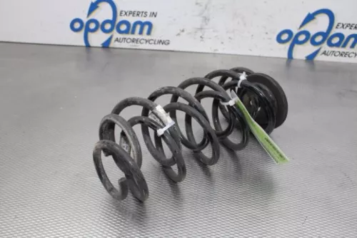 Schroefveer achter-7367336