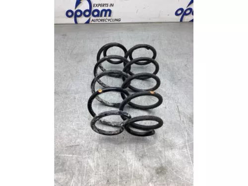 Schroefveer achter-8102745