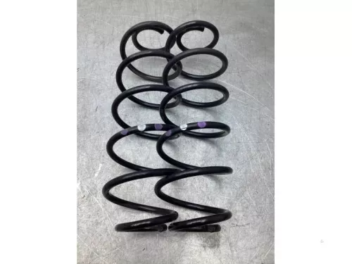 Schroefveer achter-7980963