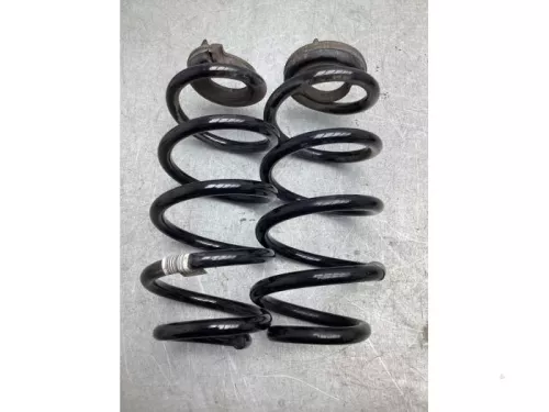 Schroefveer achter-8079616