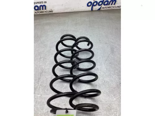 Schroefveer achter-8198040