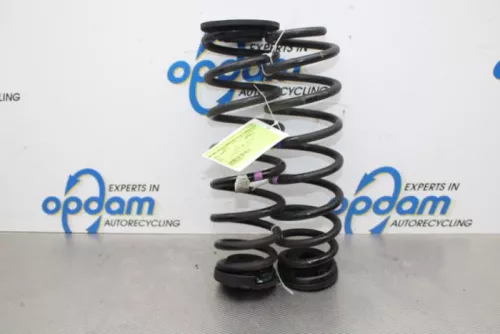 Schroefveer achter-7857060