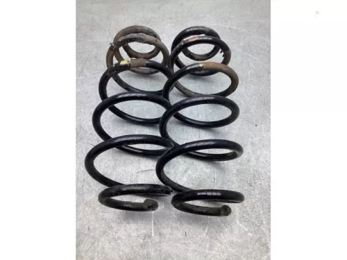 Schroefveer achter-7924379