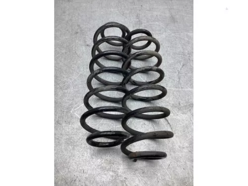 Schroefveer achter-7933885