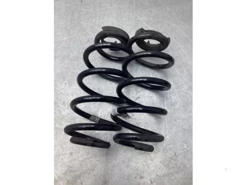 Schroefveer achter-8071969