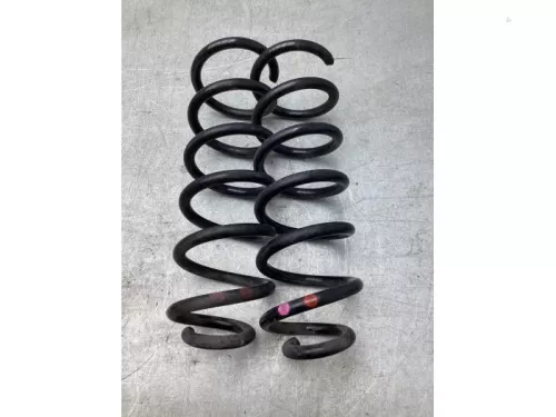 Schroefveer achter-7939812