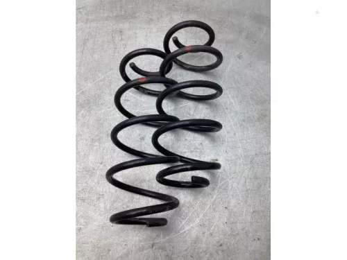 Schroefveer achter-8079939