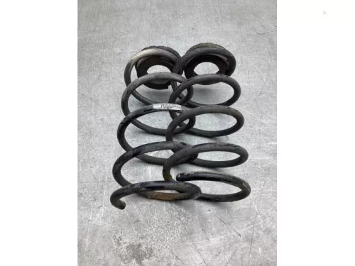 Schroefveer achter-8180176