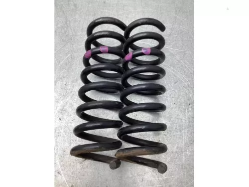 Schroefveer achter-8179806