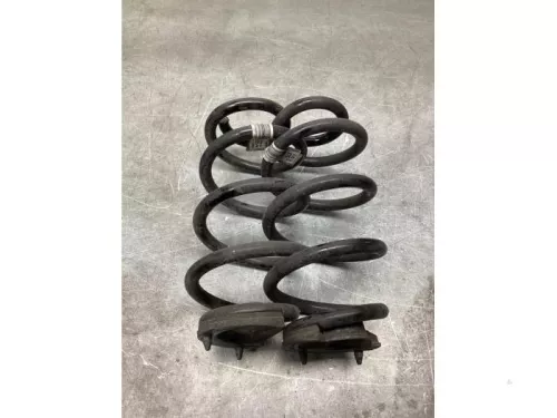 Schroefveer achter-8144350