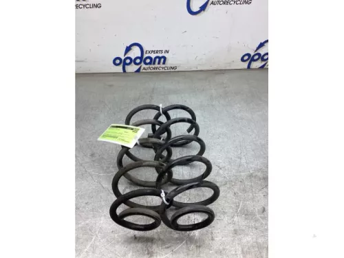 Schroefveer achter-8195268