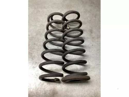 Schroefveer achter-8240960