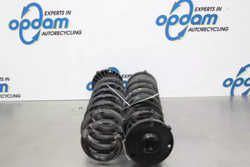 Schroefveer achter-6196033