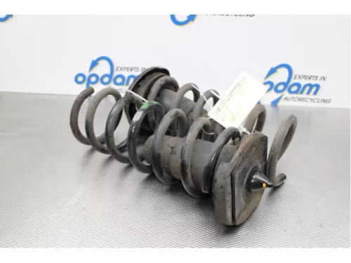 Schroefveer achter-7714095