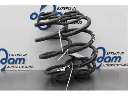 Schroefveer achter-7619388