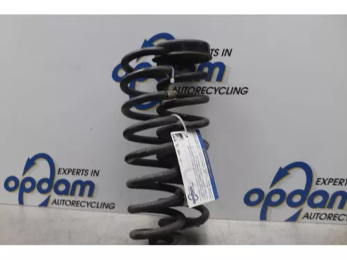 Schroefveer achter-7620546