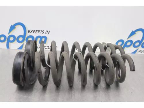 Schroefveer achter-7718002