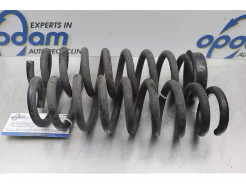 Schroefveer achter-7716421