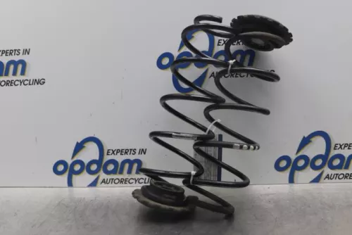 Schroefveer achter-7610989