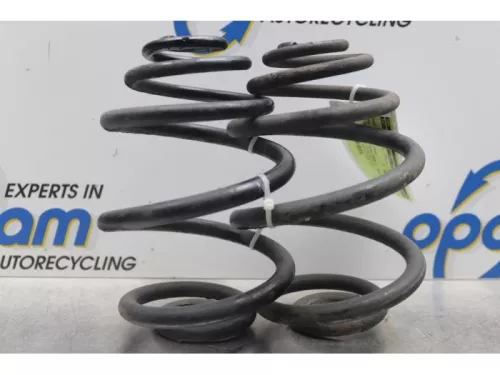 Schroefveer achter-7877407