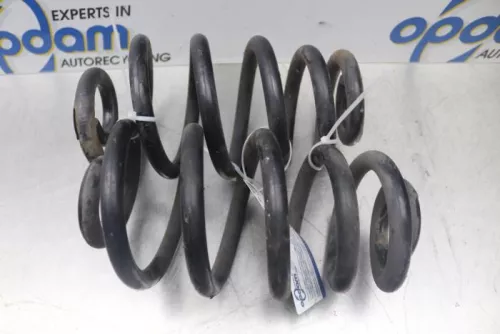 Schroefveer achter-7611095