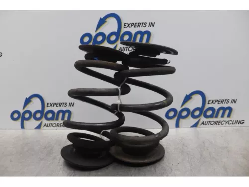 Schroefveer achter-7877628