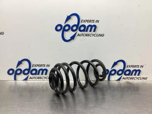 Schroefveer achter-7881857