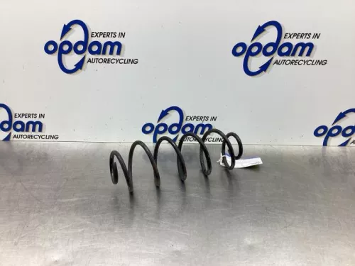 Schroefveer achter-7879698