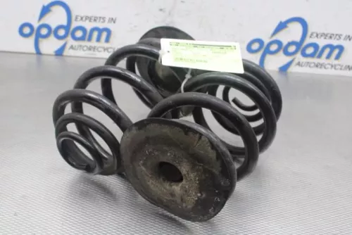 Schroefveer achter-7745419