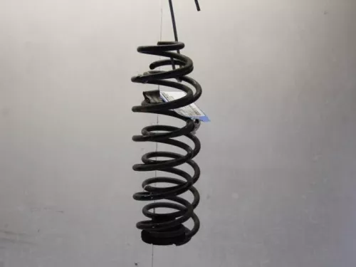 Schroefveer achter-7730069