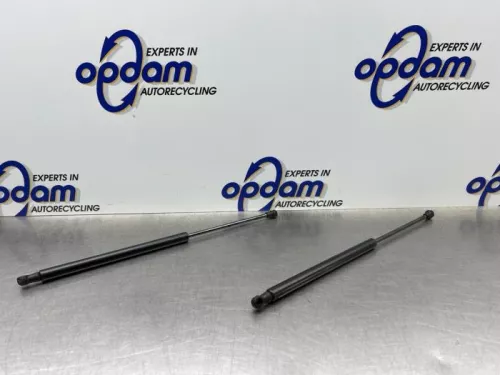 Set Gasdempers Achterklep-8246769