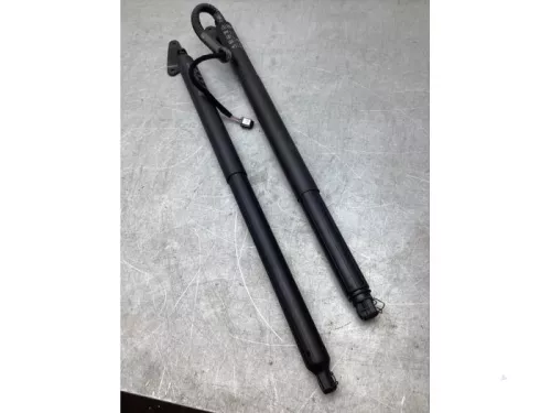 Set Gasdempers Achterklep-8029563