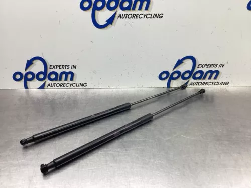 Set Gasdempers Achterklep-8055719