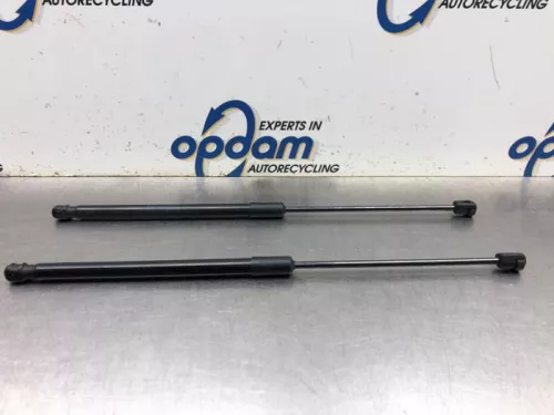 Set Gasdempers Achterklep-8158117