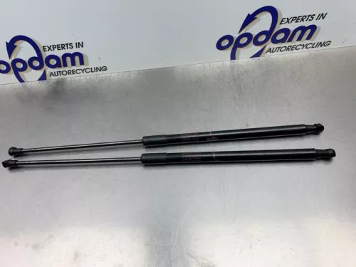 Set Gasdempers Achterklep-8139102