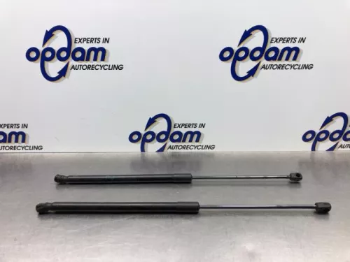 Set Gasdempers Achterklep-8172399