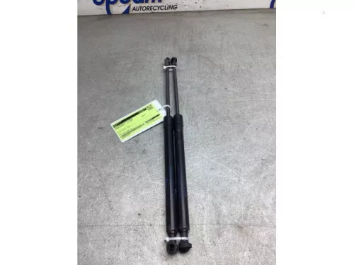 Set Gasdempers Achterklep-8195268