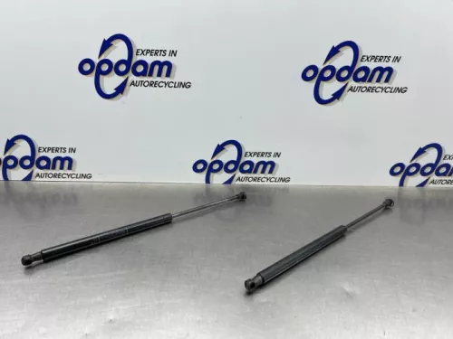 Set Gasdempers Achterklep-8311028