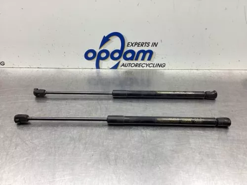 Set Gasdempers Achterklep-7932233