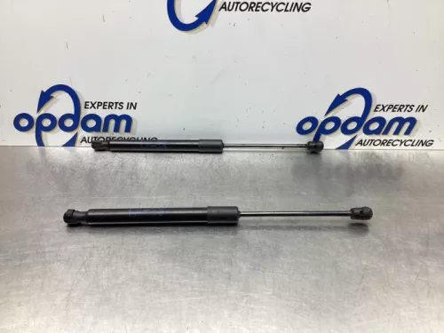 Set Gasdempers Achterklep-7928022