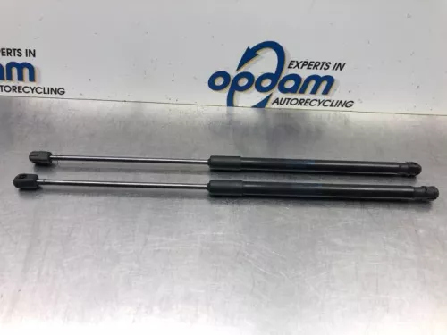 Set Gasdempers Achterklep-8039747