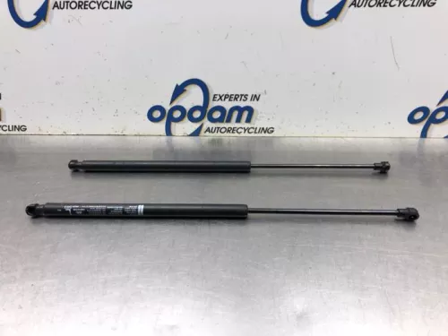 Set Gasdempers Achterklep-8099264