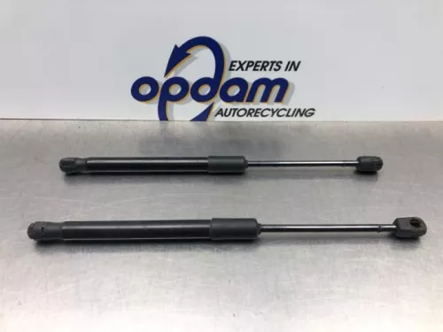 Set Gasdempers Achterklep-8141509