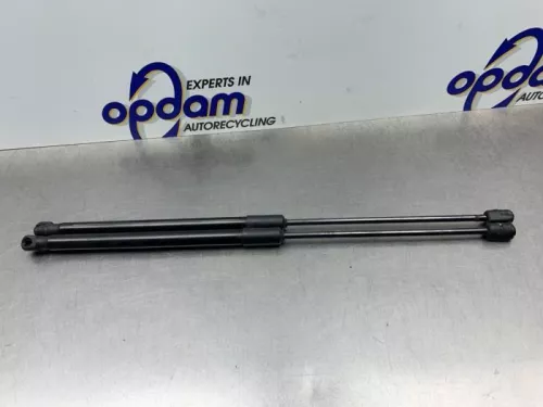 Set Gasdempers Achterklep-8250005