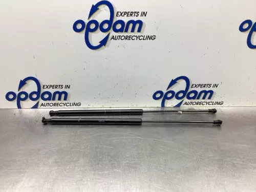 Set Gasdempers Achterklep-8031645