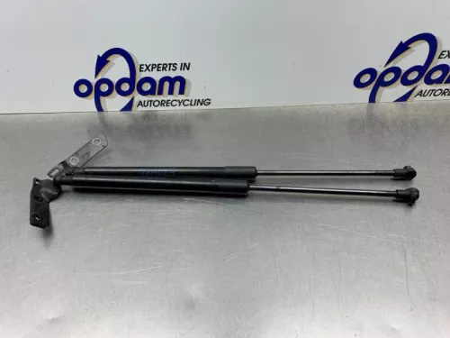 Set Gasdempers Achterklep-8169282