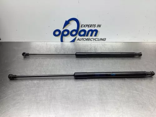 Set Gasdempers Achterklep-7615737